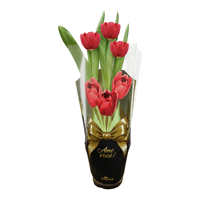 Flor Tulipa Variado P12