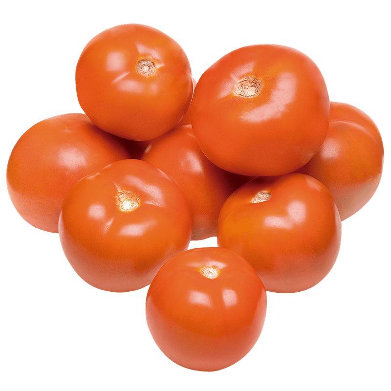 Tomate-Longa-Vida