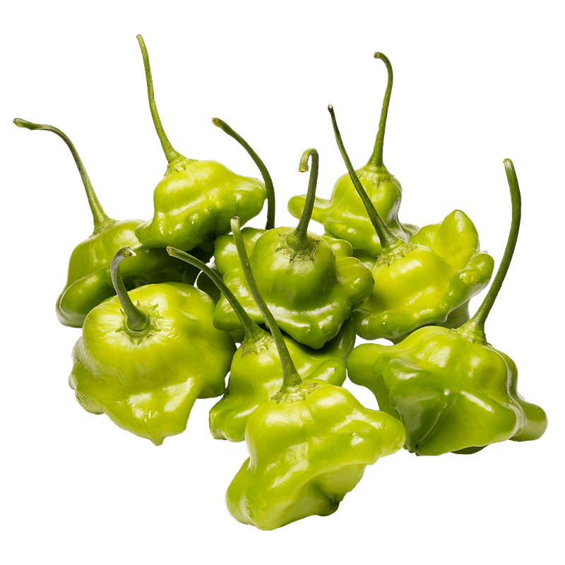 Pimento-Cambuci