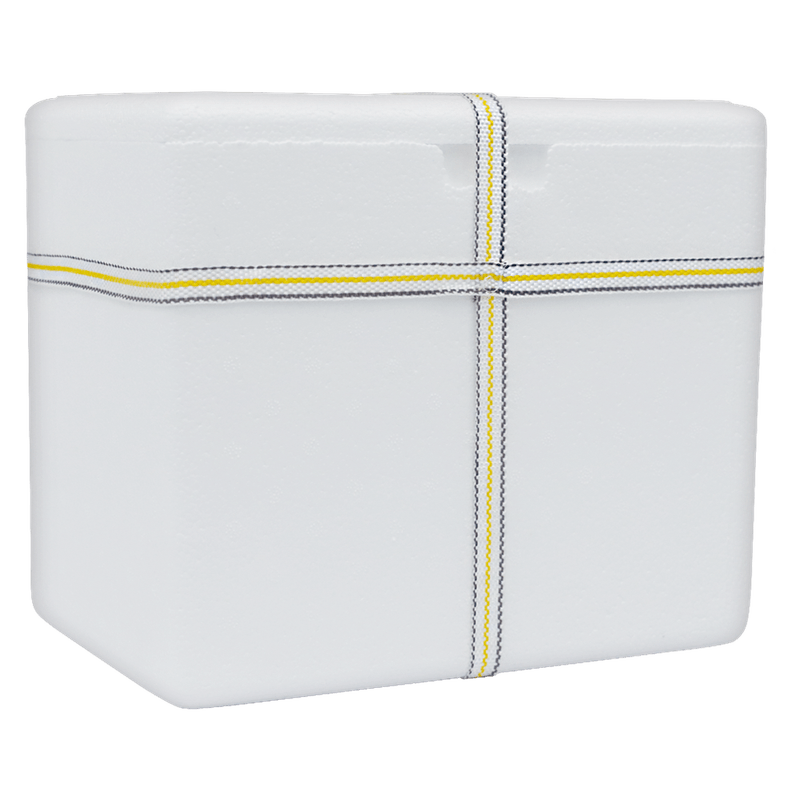 Caixa-Trmica-Isopor-com-Ala-7L