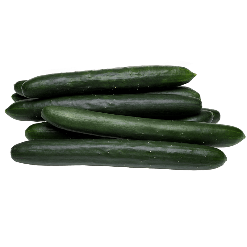 Pepino-Japons