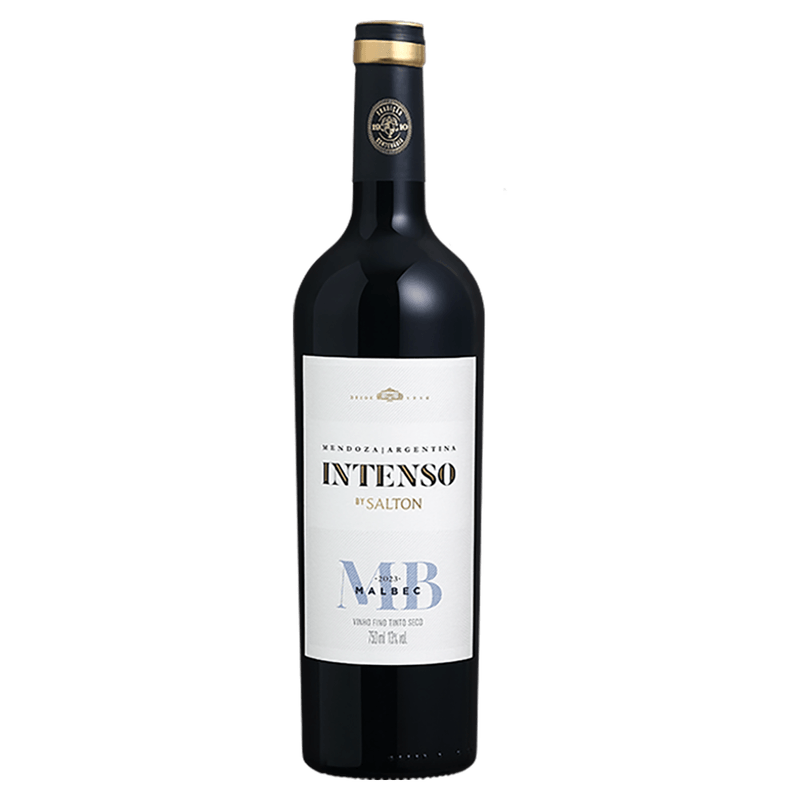 Vinho-Salton-Intenso-Tinto-Seco-Malbec-750ml