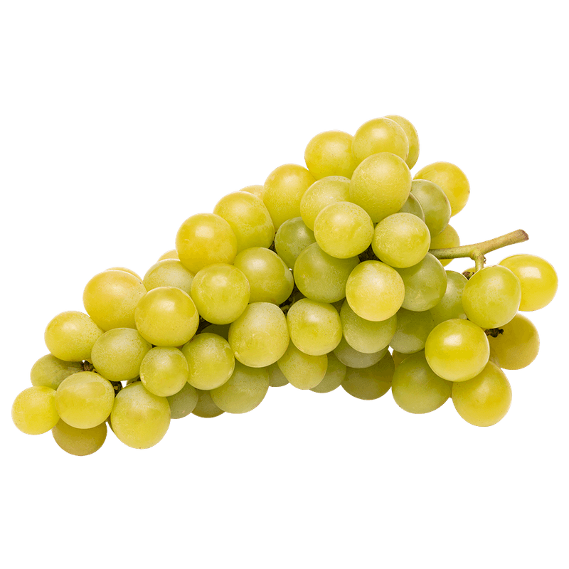 Uva-Itlia