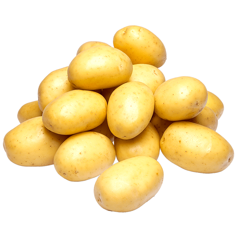 Batata-Branca