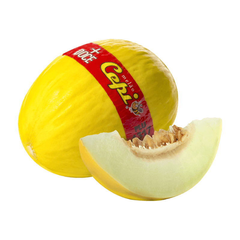 Melo-Cepi