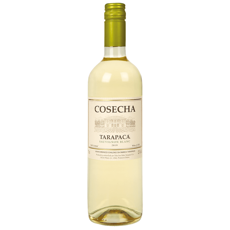 Vinho-Tarapac-Cosecha-Sauvignon-Blanc-Chileno-750ml