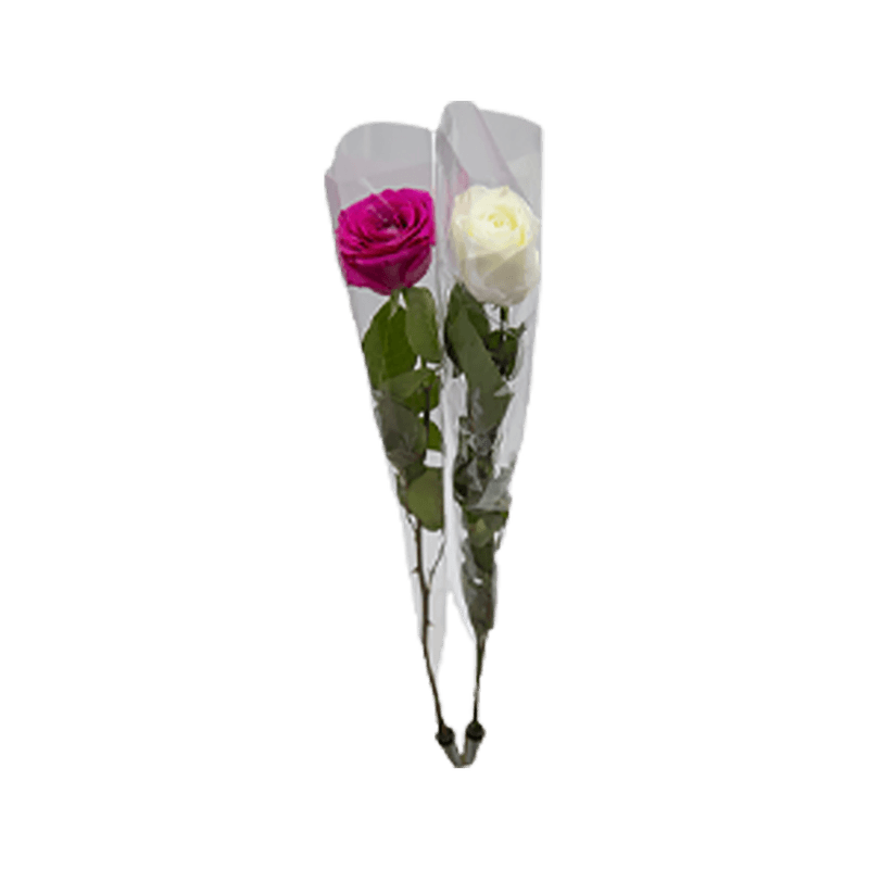 Rosa-Boto-Tubete-40cm