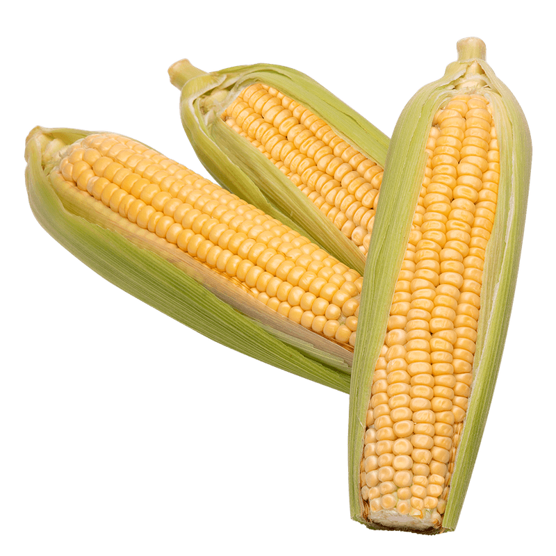 Milhoverde-com-03-Espigas