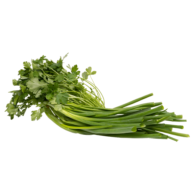 Tempero-Verde-Embalado