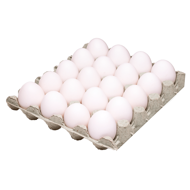 Ovos-Brancos-Bandeja-com-20un